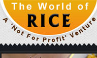 The word of rice